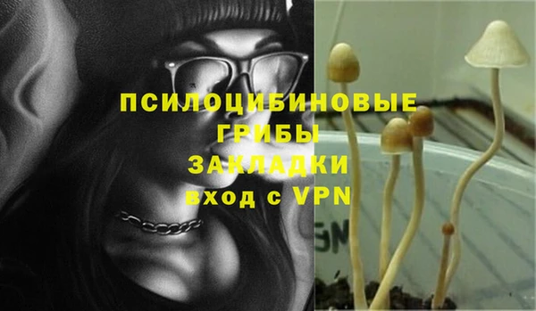 молекула духа Баксан