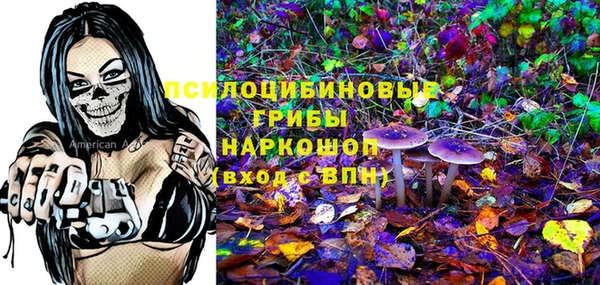 молекула духа Баксан
