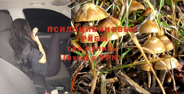 a pvp Балахна