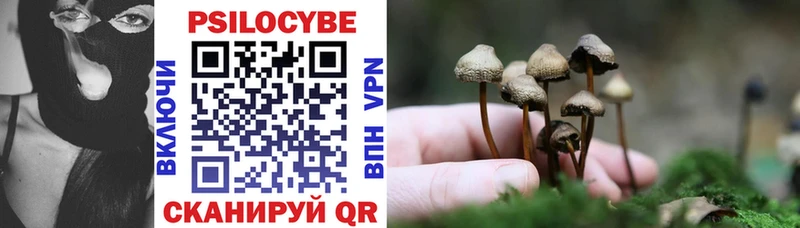 Псилоцибиновые грибы Psilocybe  Семикаракорск 